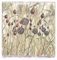 Summer Meadow